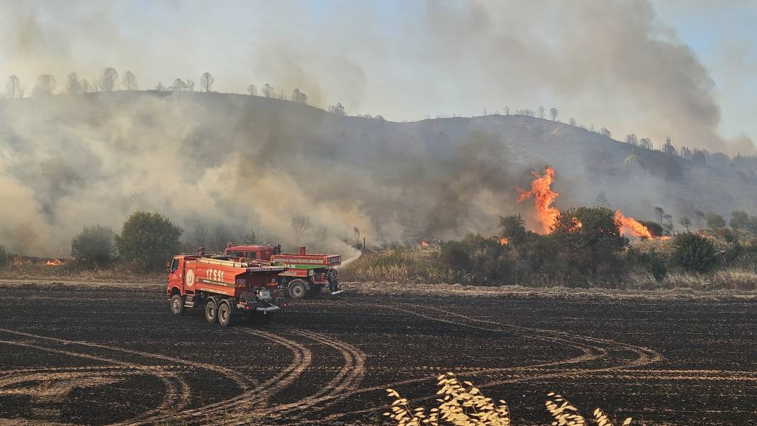 Çanakkale'deki Tarihi Alan'ın güney hattı ziyarete açıldı! Orman yangınında kapatılmıştı 45